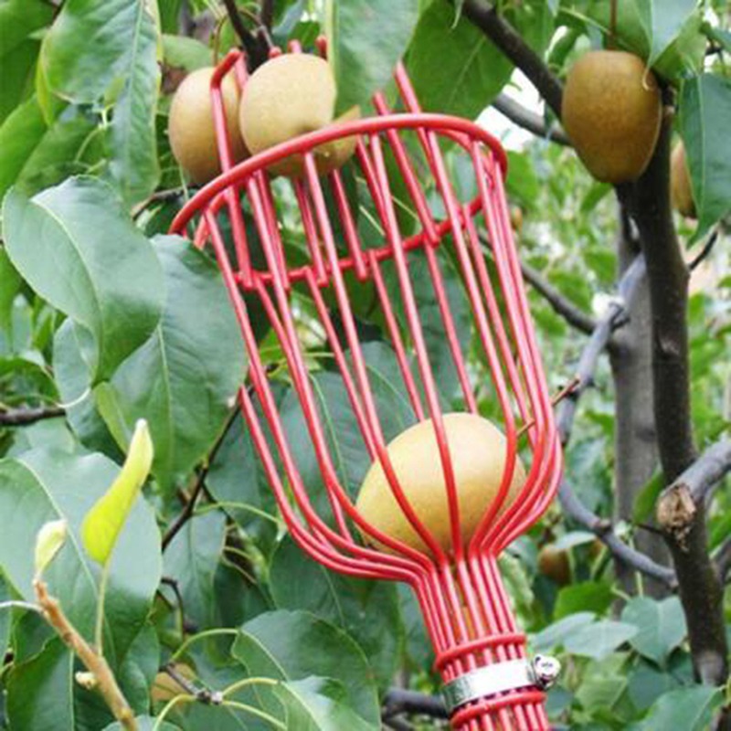 Gardening Tools Basket - Tiefkorb-Obstpflückerkopf, tragbarer Ernter für hohe Bäume,