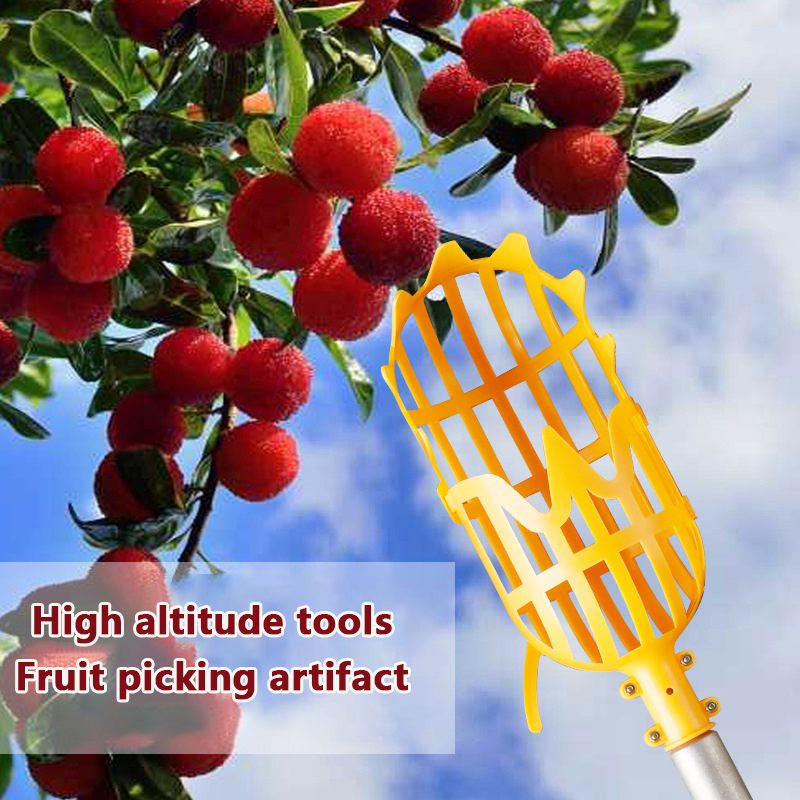 Picking Loquat Picking Bay ber – Gardening Tools Basket Bewertung und Preis