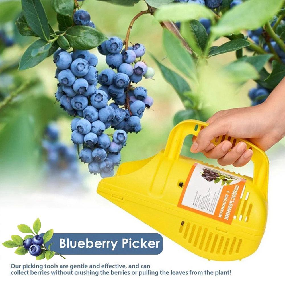 Heidelbeer-Ernterake |   Effiz – Gardening Tools Basket Bewertung und Preis