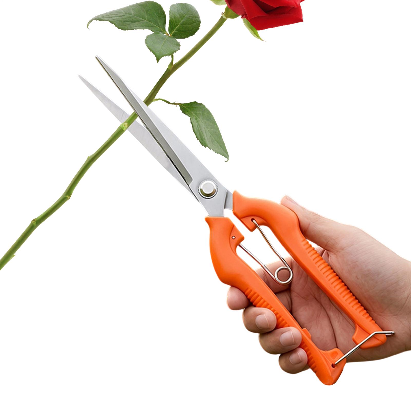 Professionelle Gartenschere au – Gardening Tools Women Bewertung und Preis