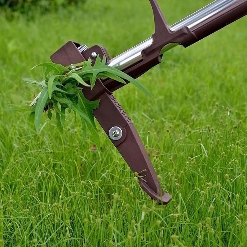 Stand-Up-Unkrautvernichter, Wu – Gardening Tools To Remove Grass Bewertung und Preis