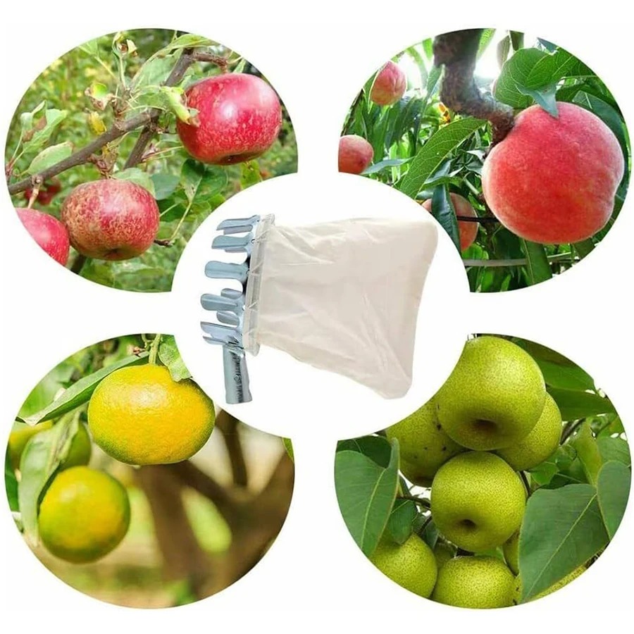 Robuster Obstpflücker-Korb, Ga – Gardening Tools Basket Bewertung und Preis