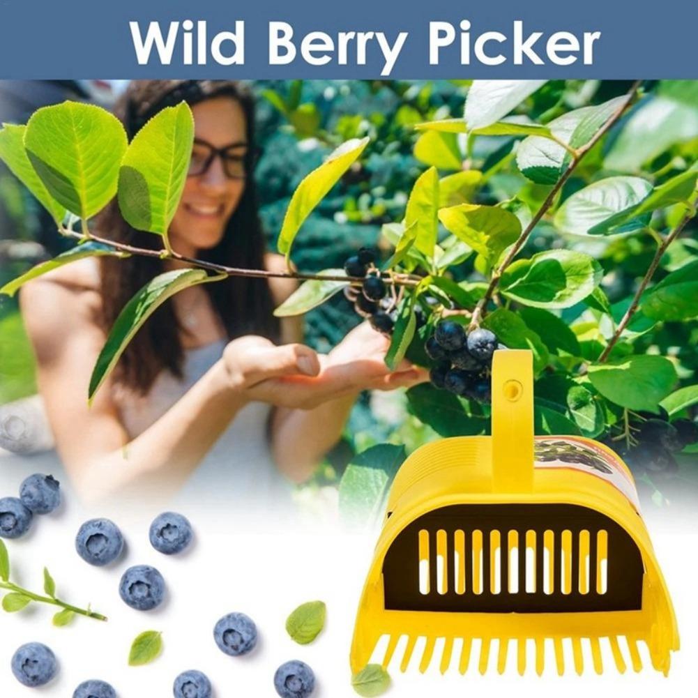 Tragbares Blaubeer-Pflückwerkz – Gardening Tools Basket Bewertung und Preis