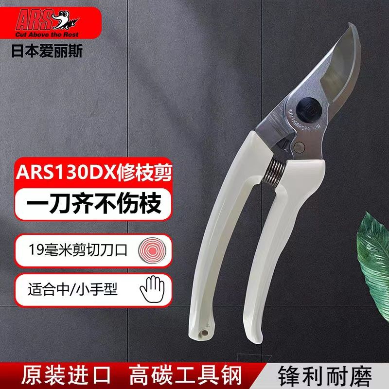 Schnitts chere, Gartengeräte,  – Gardening Tools In Japan Bewertung und Preis
