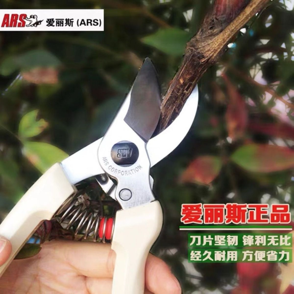 Schnitts chere, Gartengeräte,  – Gardening Tools In Japan Bewertung und Preis