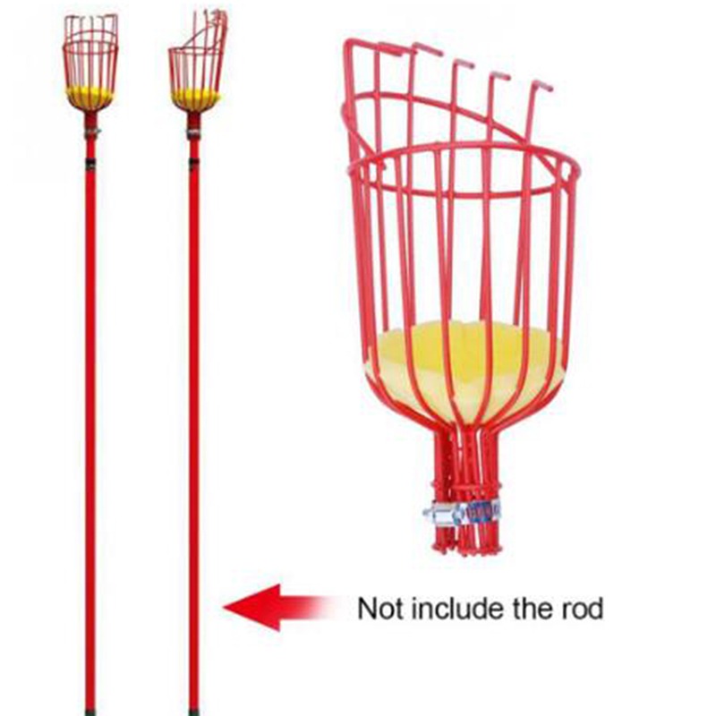 Tiefkorb-Obstpflückerkopf, tra – Gardening Tools Basket Bewertung und Preis