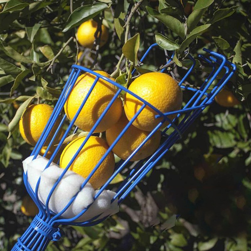 Tiefkorb-Obstpflückerkopf, tra – Gardening Tools Basket Bewertung und Preis
