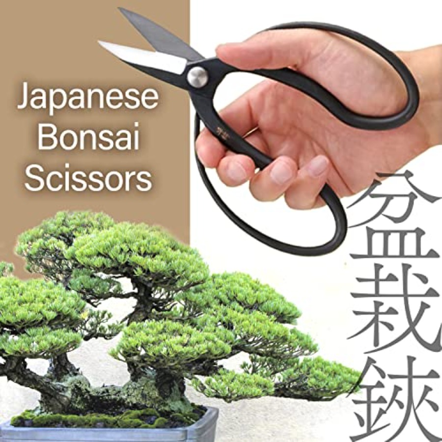 Japanische Suiryu Bonsai-Scher – Gardening Tools In Japan Bewertung und Preis