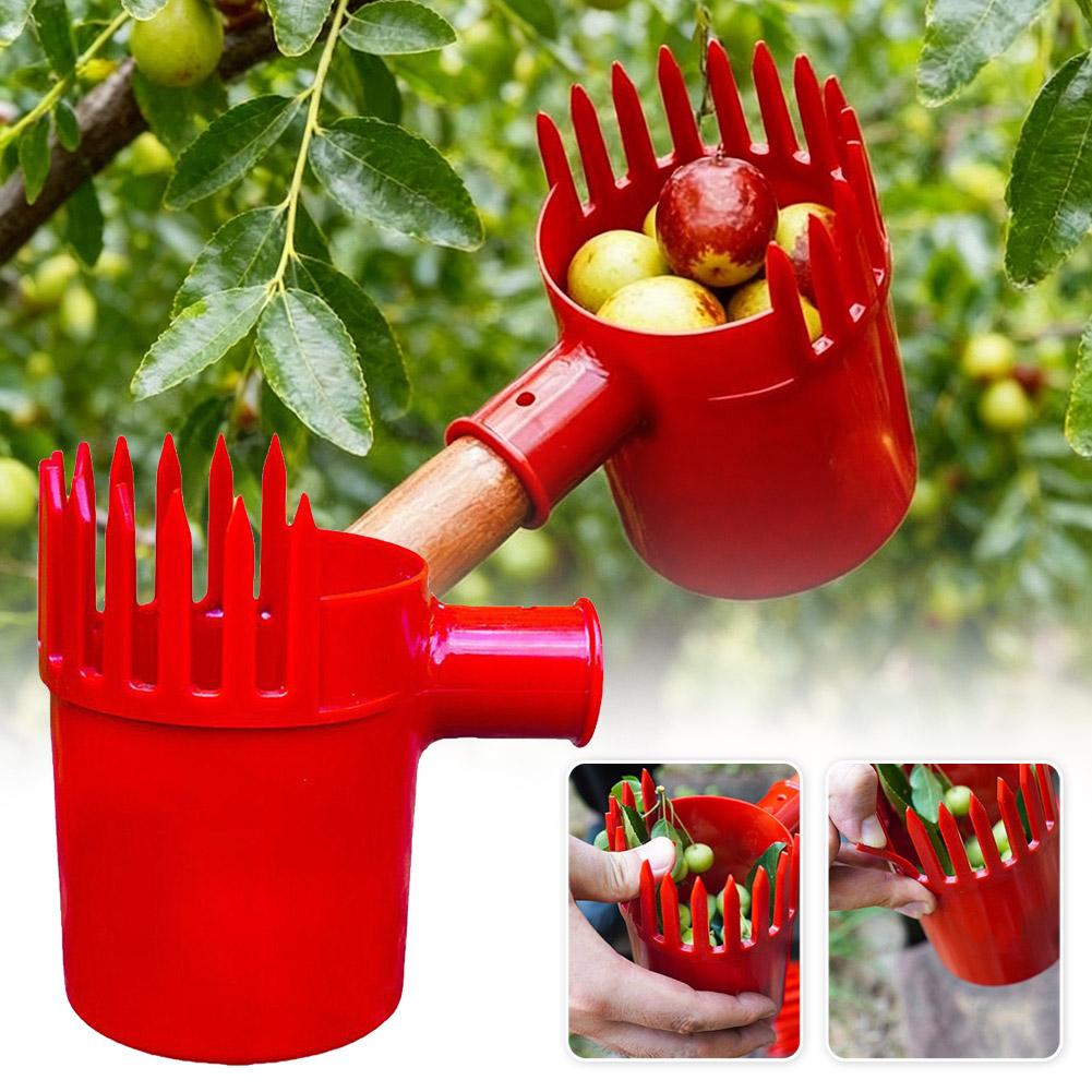 Obstpflücker-Werkzeug: Tragbar – Gardening Tools Basket Bewertung und Preis