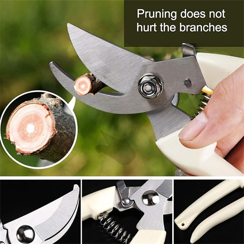 1 Stück Edelstahl-Gartenschere – Gardening Tools To Cut Branches Bewertung und Preis