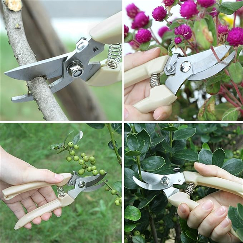 1 Stück Edelstahl-Gartenschere – Gardening Tools To Cut Branches Bewertung und Preis