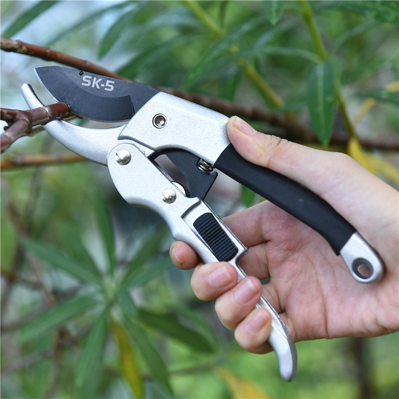 Neue 20 cm Ratsche Pflanzen Tr – Gardening Tools To Cut Branches Bewertung und Preis