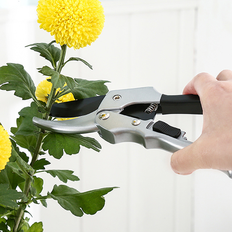 Neue 20 cm Ratsche Pflanzen Tr – Gardening Tools To Cut Branches Bewertung und Preis