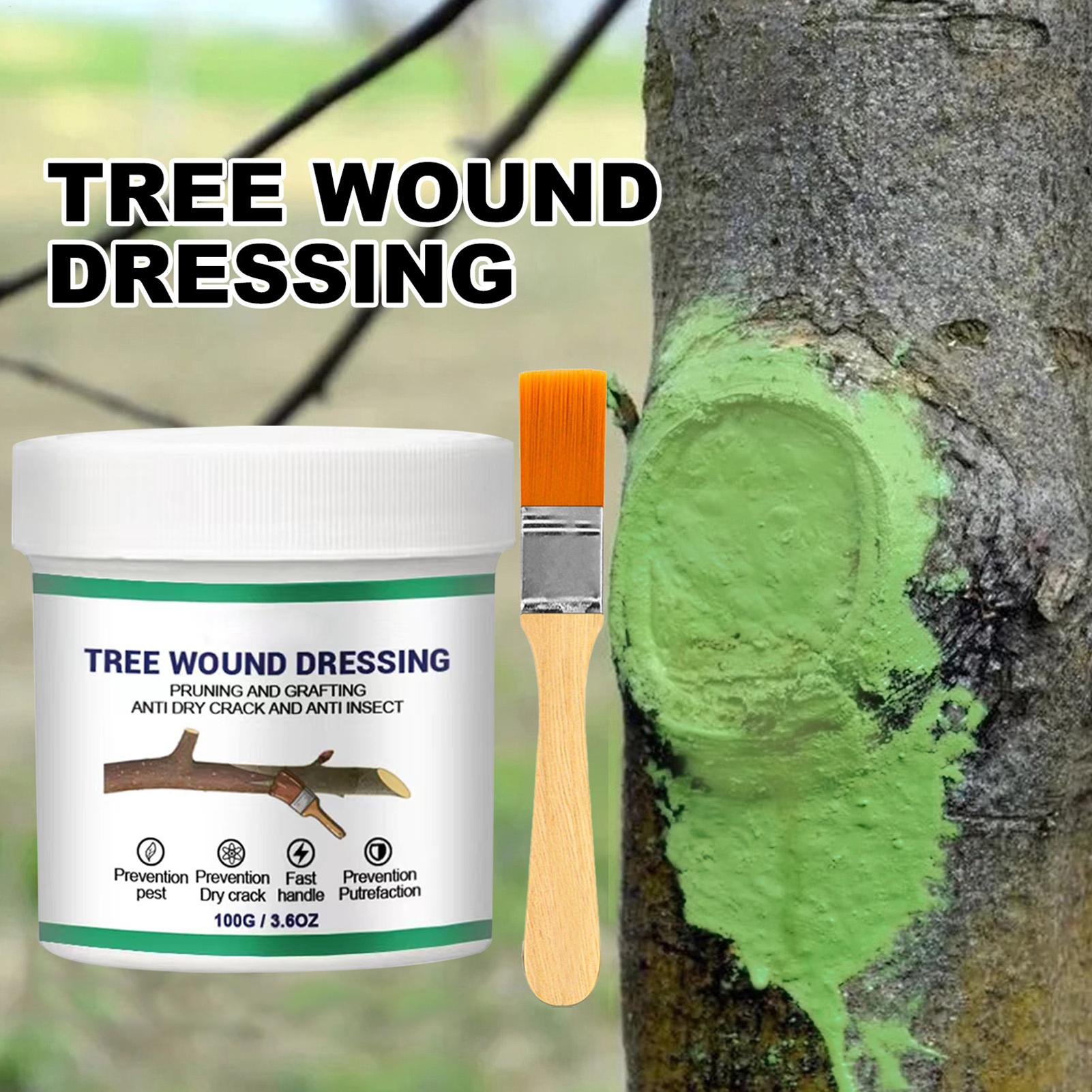 Baumveredelungs-Paste, Wundver – Gardening Tools Women Bewertung und Preis